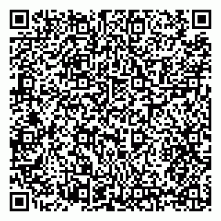 vCard 79397133281