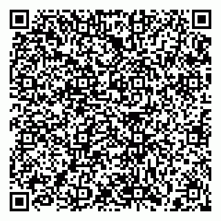 vCard 79397133285