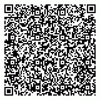 vCard 79397133287