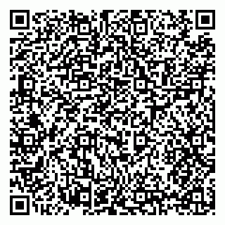 vCard 79397133290