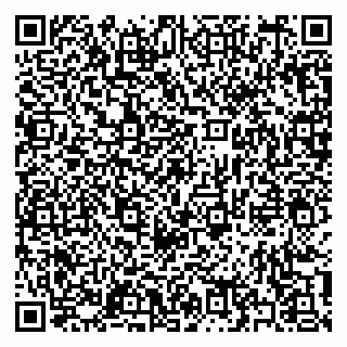 vCard 79397133291
