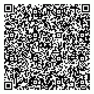 vCard 79397133294