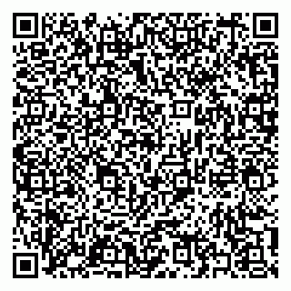 vCard 79397133295