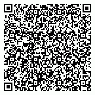 vCard 79397133299