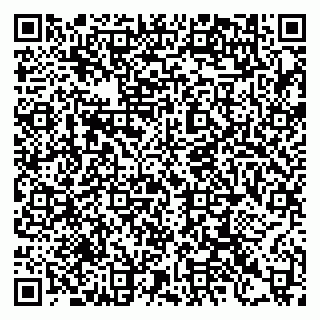 vCard 79397133303
