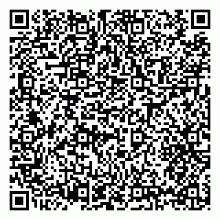 vCard 79397133304