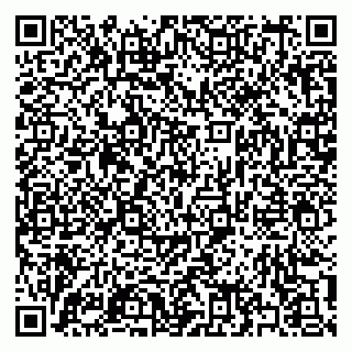 vCard 79397133305