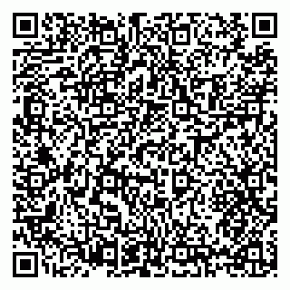 vCard 79397133313