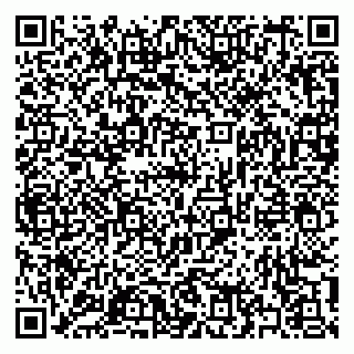 vCard 79397133314