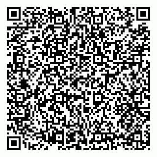 vCard 79397133315