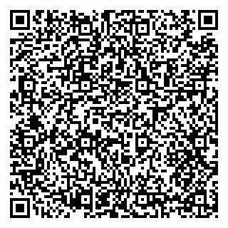 vCard 79397133319