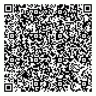 vCard 79397133320