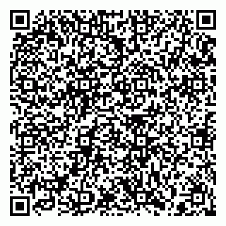 vCard 79397133321