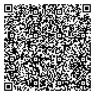vCard 79397133333