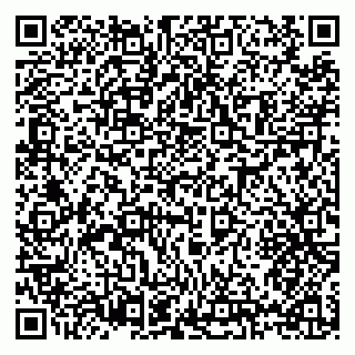 vCard 79397133334