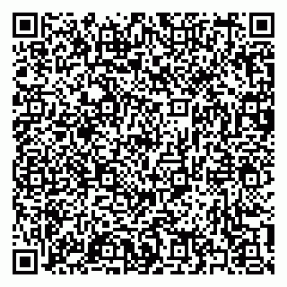 vCard 79397133335