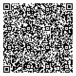 vCard 79397133336