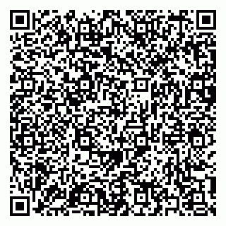 vCard 79397133339