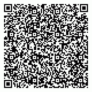 vCard 79397133351