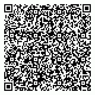 vCard 79397133353