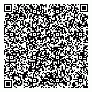 vCard 79397133373
