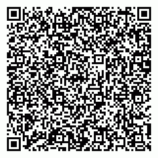 vCard 79397133379