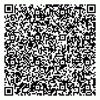 vCard 79397133381