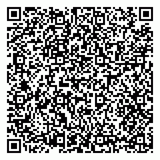 vCard 79397133382