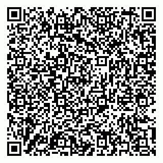 vCard 79397133383