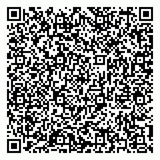 vCard 79397133384