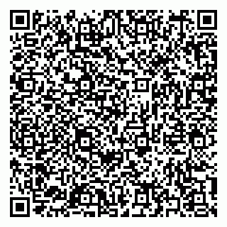 vCard 79397133385