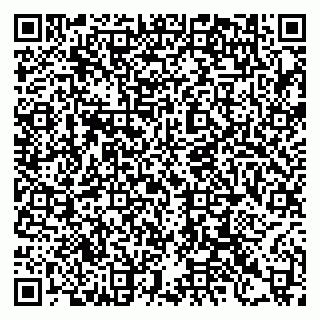 vCard 79397133387