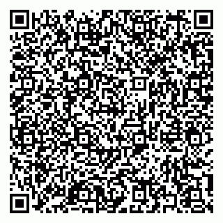 vCard 79397133389