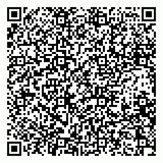vCard 79397133678