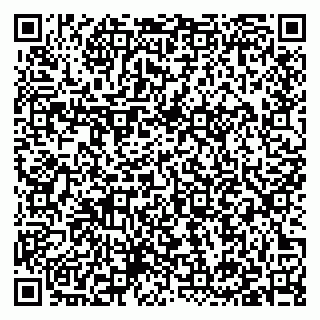 vCard 79397133703