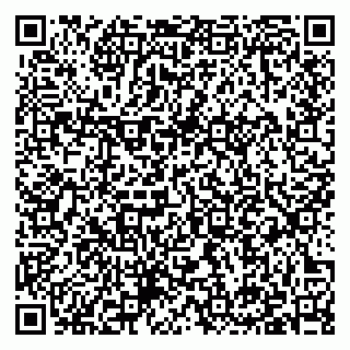 vCard 79397133719
