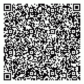 vCard 79397133724