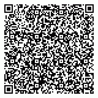 vCard 79397133731