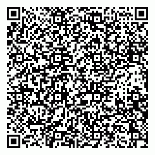 vCard 79397133789