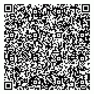 vCard 79397133793