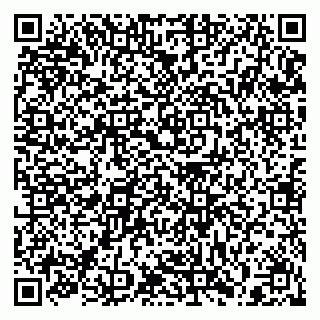 vCard 79397133803