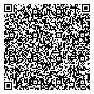 vCard 79397133813