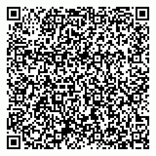 vCard 79397133821