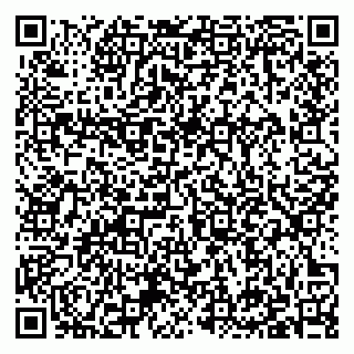 vCard 79397133829