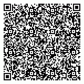 vCard 79397133853