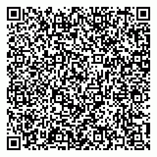 vCard 79397133867