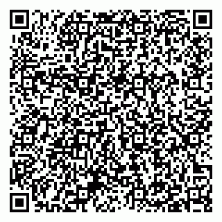 vCard 79397133871