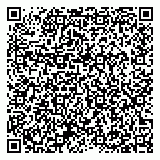 vCard 79397133873