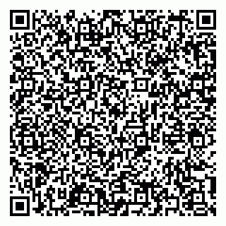 vCard 79397133881