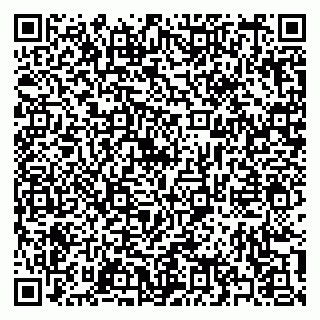 vCard 79397133882